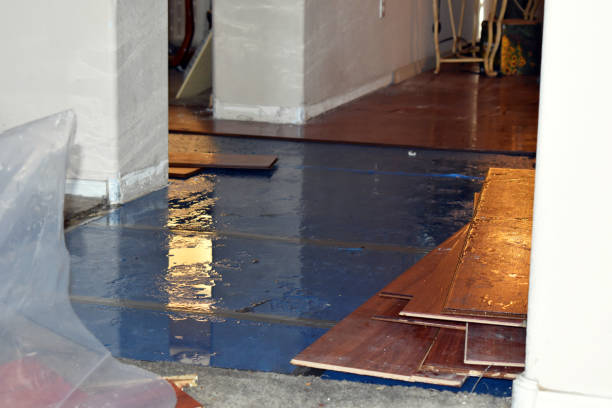 Professional Burst Pipe Cleanup technician working in Hendersonville, NC